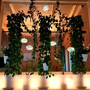 https://chalet-ablon.saalbachhinterglemmhotels.com